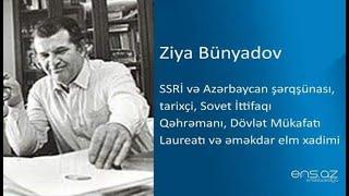 Dahilərin Divanı. Ziya Bünyadov