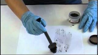 Developing Latent Fingerprints with Magnetic Powder