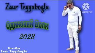 Zaur Teyyuboglu _ Одинокий Волк _ 2023  mp3