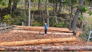 Building a pole barn for FREE using Mother Nature!!