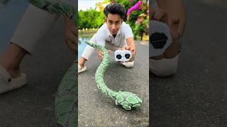 Lo Bro New Remote Control Snake Unboxing