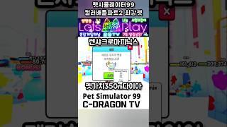 컬러배틀️파트2 최강펫렌샤크로마피닉스‍ #펫시뮬레이터99 #펫시뮬99 #펫심99 #petsimulator99 #petsim99 #ps99