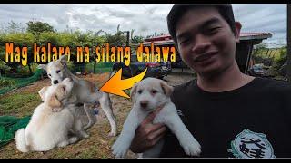 Mag kalaro na silang dalawa