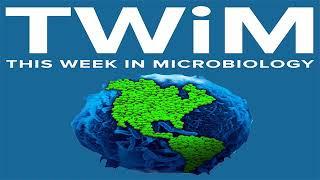 TWiM 33: Tuning the immune organ