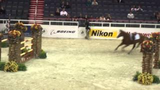 Chaos at the Washington International Horse Show!