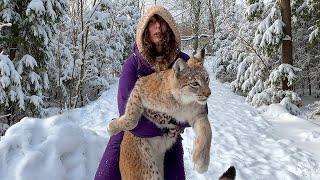 CATCHING LYNXES