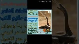 قصيده ابو حكيم القنب رداً على الشاعر الريمي  ادا محمد عبدالله العباسي