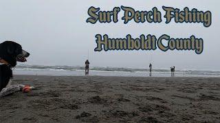 Surf Perch Fishing Humboldt County