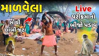 ગીરનારી સાધુની ૭ ફુટની જટા | Girnar Lili Parikrama 2024 | Parikrama 2024 | Live Girnar Parikrama