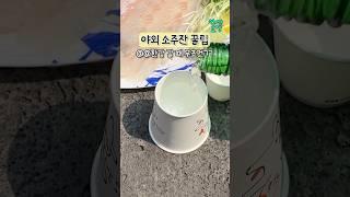야외에서 소주먹을 때 꿀팁 알려드림