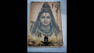 #Bholabhakt #mahadev #shankara