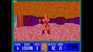 A Thorough Look at Wolfenstein