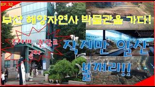 부산해양자연사박물관 관람기(#부산/#해양자연사박물관/#busan. korea)