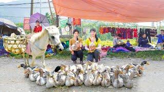 Together with My Sister (Phương Free Bushcraft) Harvest Many Ducks Go To Market Sell