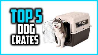 Top 5 Best Dog Crates in Every Type in 2024