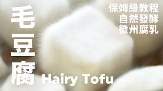 Hairy Tofu: Why is this moldy tofu hairy and How Is It Made?  @beanpandacook