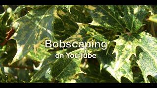 Bobscaping trailer