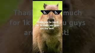 #mr.capybara # 1,000 views