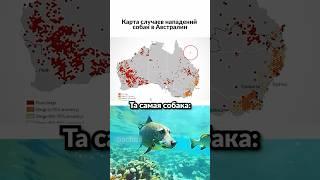Водяные собаки нападают 