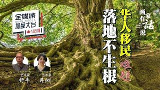 移民生活 // 艺术家戴舒丰 & 职业画家丹树 谈华人移民为什么落地不生根？从落叶归根到落地生根究竟有多远？ # 全媒体加拿大台QMedia.Canada 185 期