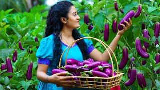 Sri Lankan Snacks with Farm Fresh Brinjals  Brinjal Curry & Fried Brinjals + Dragon Fruit Pudding