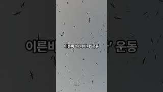 #웃기는이야기"아나바다 운동"
