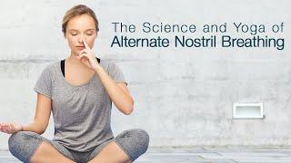 The Science and Yoga of Alternate Nostril Breathing | Dr. John Douillard's LifeSpa