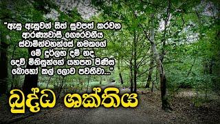 බුද්ධ ශක්තිය | Samma Ditthi UK