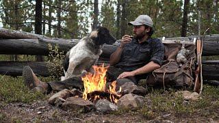 Grouse Hunt & Cook with my New Puppy - Bushcraft Cooking, Labrador Tea, Canadian Backcountry