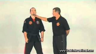 Kyusho Jitsu. Kyusho Top 10 points