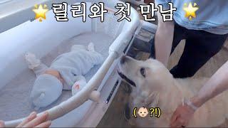 아기 메이슨을 처음 만난 릴리 반응 (+ 친척들 첫 만남) 엄마와 마지막 날