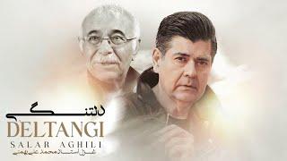 Salar Aghili - Deltangi ( سالار عقیلی - دلتنگی )