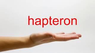 How to Pronounce hapteron - American English