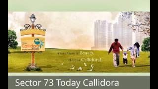 Today Homes, Today Callidora, Sector 73, Gurgaon