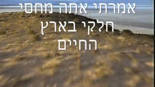 סרטון טבע מדהים