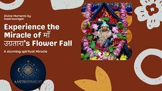 Maa Ugratara Flower Fall Miracle Caught on Camera |ଯେବେ ଫୁଲ ଖସିଲା ତେବେ ଜାଣିବା କୃପାଦୃଷ୍ଟି ହେଲା