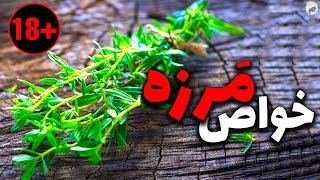 خواص مرزه برای پریودی و حل مشکلات مردان  حتما ببین