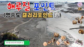 해루질 포인트 지형영상 (영흥도 / 갤러리 포인트) #경기권 #영흥도 #소라 #낙지