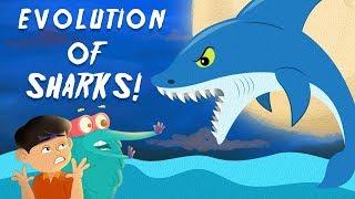 Evolution Of Sharks | The Dr. Binocs Show | Best Learning Videos For Kids | Peekaboo Kidz