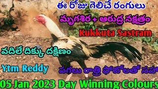 05 Jan 2023 Today Winning Colours//Ytm Reddy Farming Channel//Kukkuta Sastram