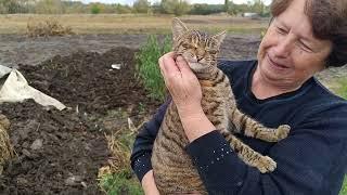 Продолжили уборку,собрали много зелени для сушки.Андрей заболел.Мама разошлась не остановить)