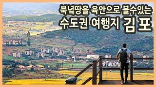 [ENG SUB] Gimpo in korea /Korea travel documentary/Korea travel destination