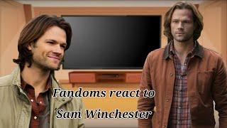 Fandoms react to Sam Winchester [2/8] [SPN]