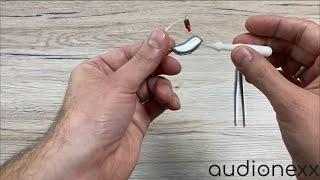 Phonak Audeo P (Paradise) Overview