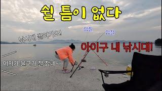 방파제 입질 미쳤다! 던지면 물어요. 근데 이건 무슨 물고기지?