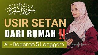 TERBARUAL BAQARAH FULL (5 LANGGAM) Ustzh Kuntriksi Ellail