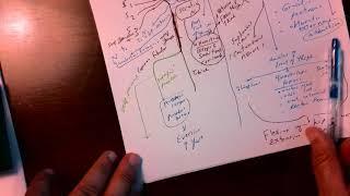 Overview of nerve supply of lower extremity