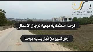 فرصة استثمارية نوعية لرجال الأعمال