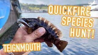 Quickfire LRF Species Hunt TEIGNMOUTH