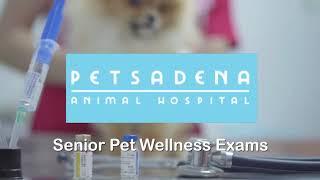 Senior Pet Wellness Exams